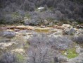 /album/laguna-de-los-tres/imgp1116-jpg/