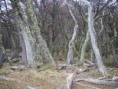 /album/laguna-de-los-tres/imgp1127-jpg/