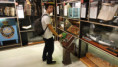 /album/nouvelle-zelande/dsc03355-jpg/